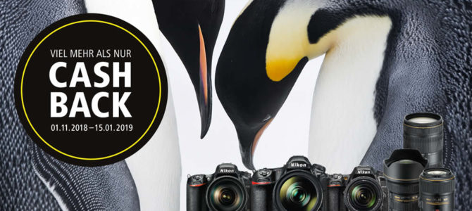 Nikon Winter CASHBACK Nikon Winter CASHBACK