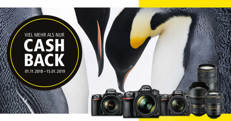 Nikon Winter CASHBACK