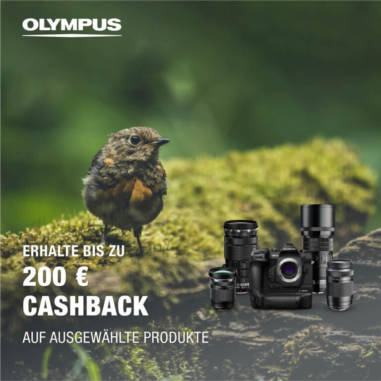 Olympus Cashback sichern