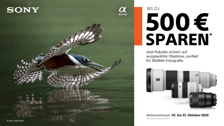 SONY Wildlife-Objektiv-Rabattaktion